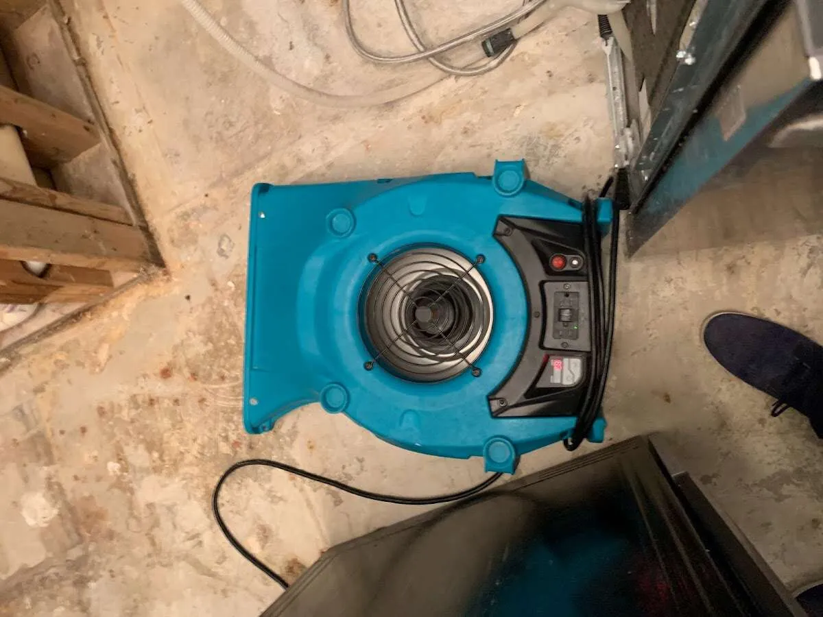 Air mover drying equipment for Mold Remediation & Removal in La Crosse