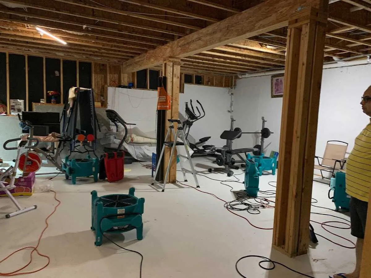 Basement drying equipment setup for Odor Removal & Deodorization in La Crosse